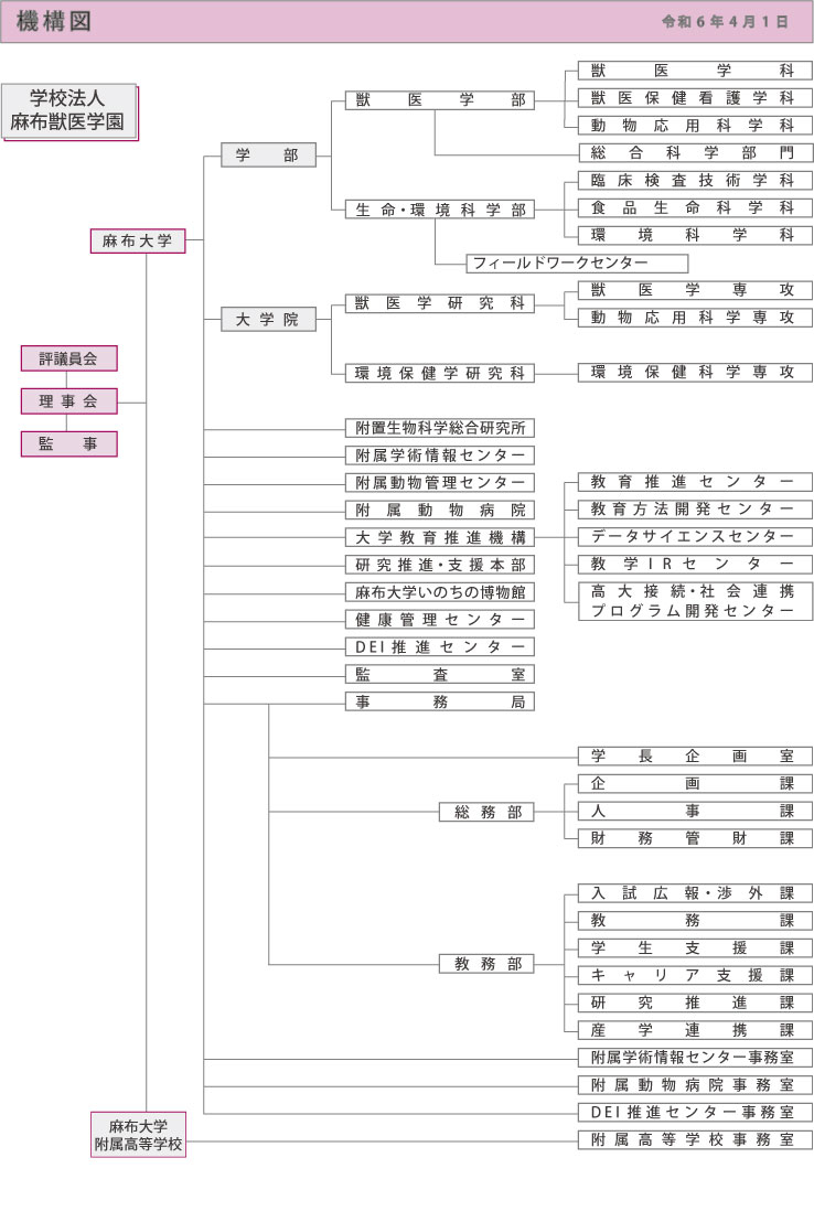 麻布大学機構図