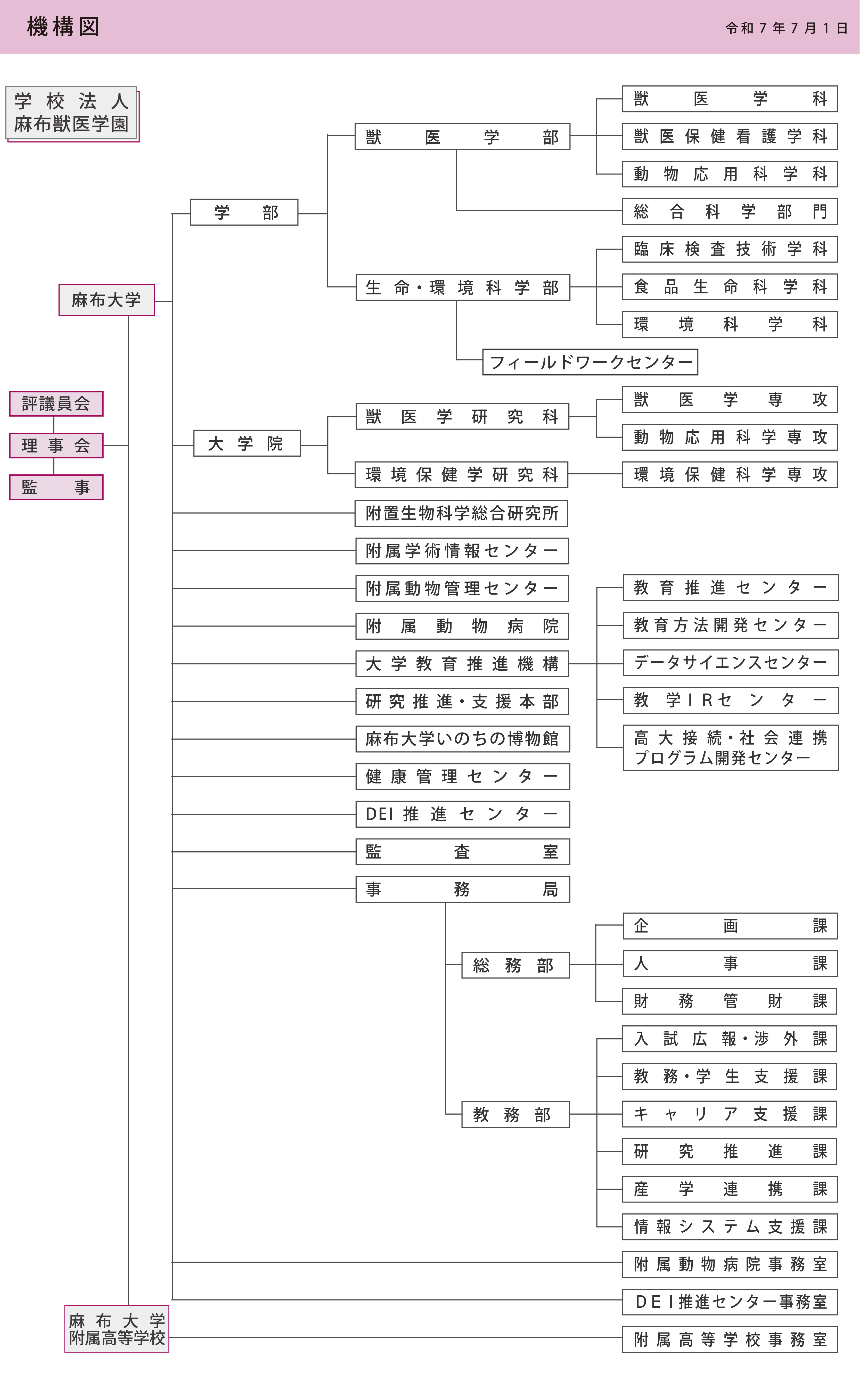 麻布大学機構図
