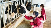 動物応用科学科