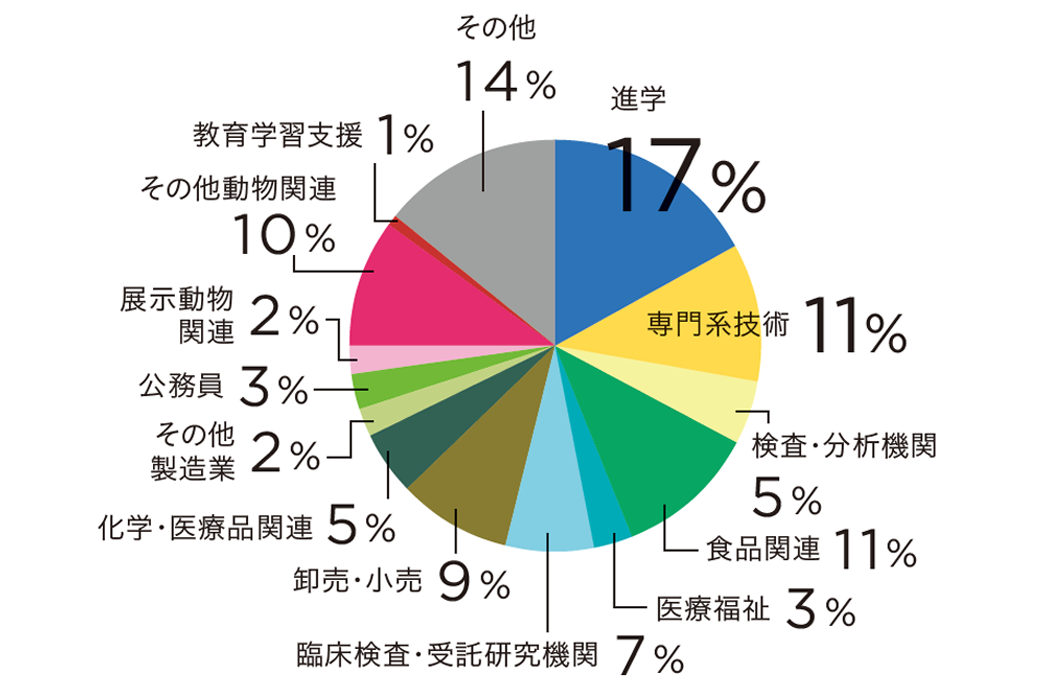 卒業後の進路とその傾向