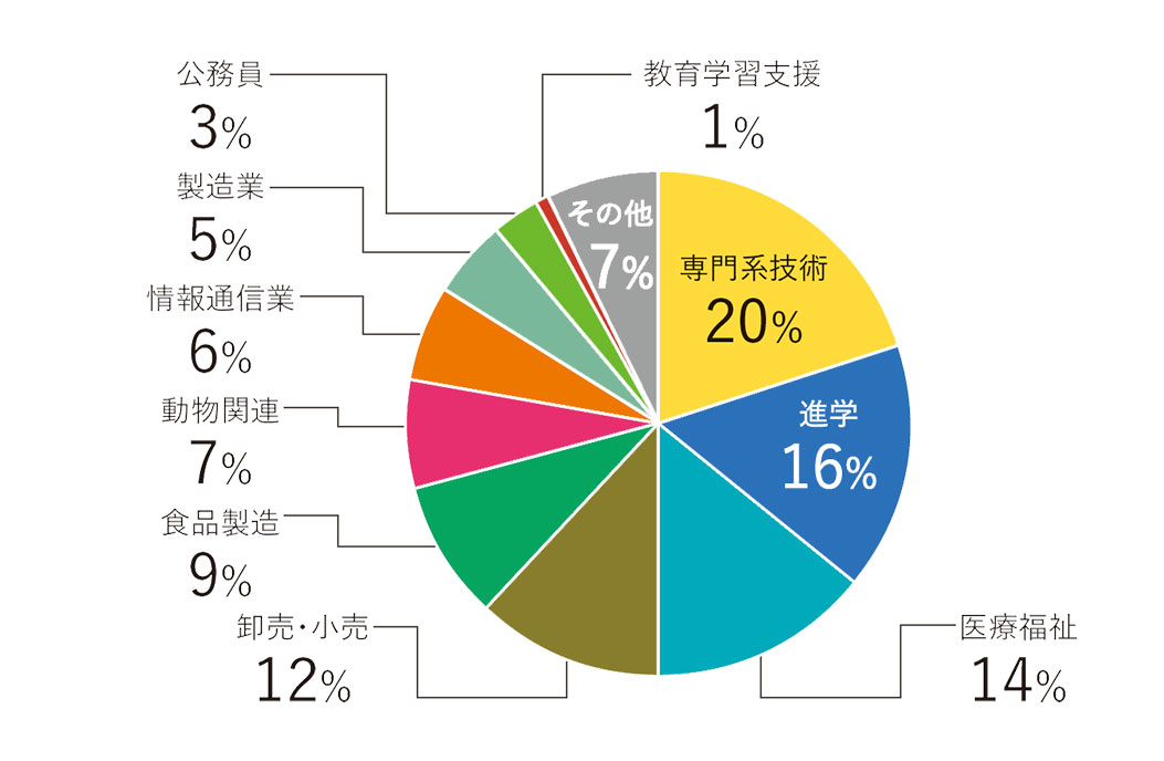 卒業後の進路とその傾向