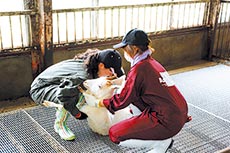 授業・実習