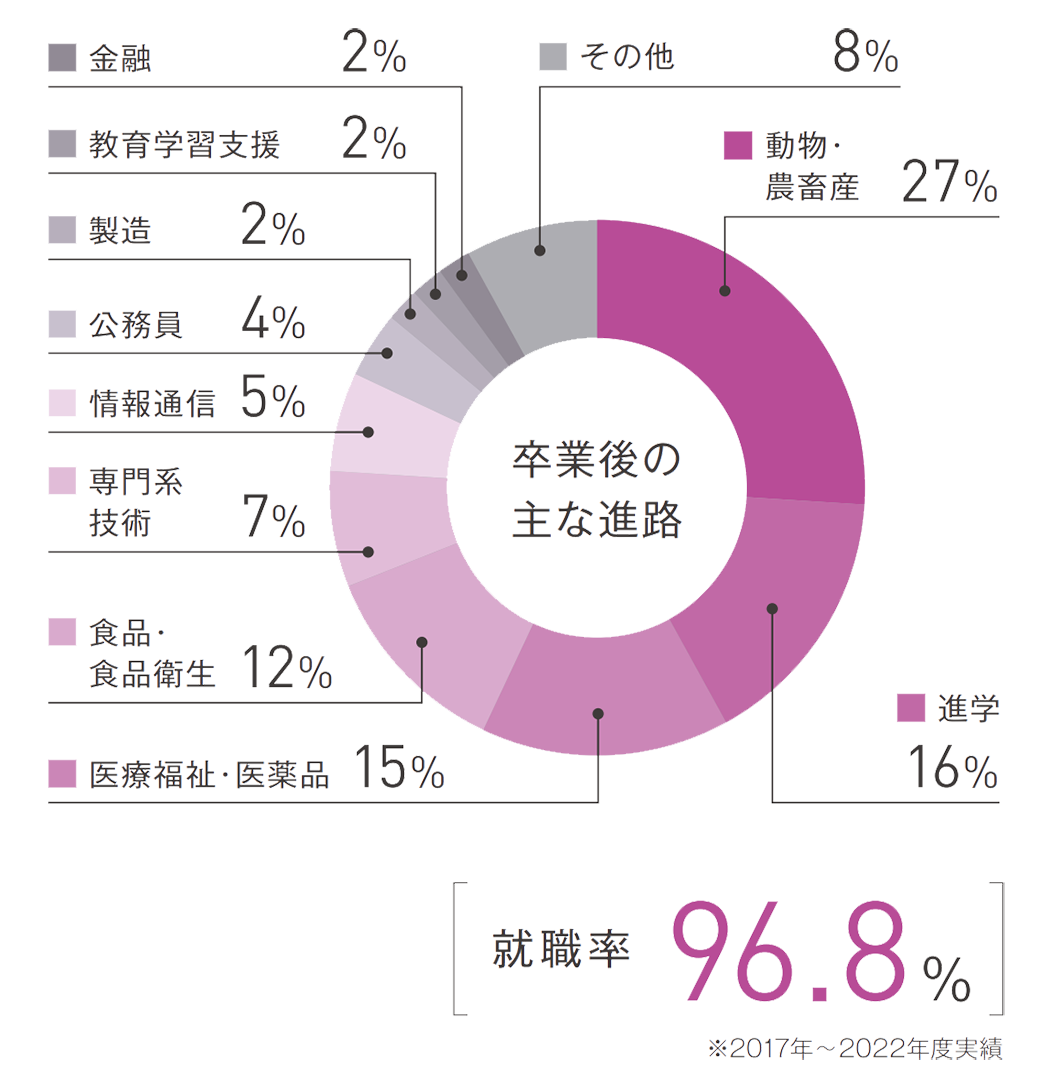 卒業後の進路とその傾向