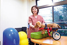 卒業生メッセージ