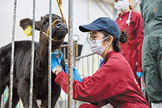 卒業生メッセージ