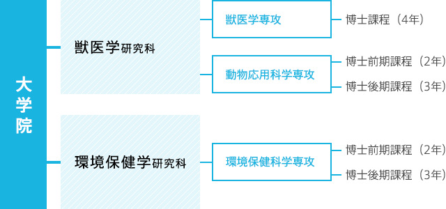 大学院 学部 大学院 麻布大学 麻布大学