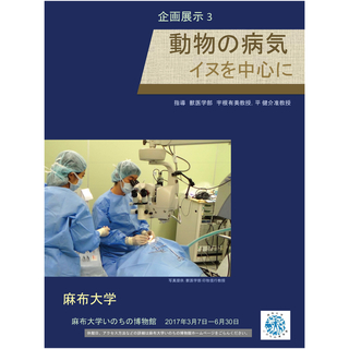 麻布大学いのちの博物館で、企画展示３「動物の病気」を開催します