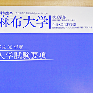 推薦入学試験等の出願開始について