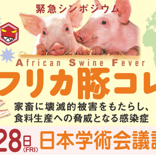 日本学術会議主催「アフリカ豚コレラ緊急シンポジウム」のご案内