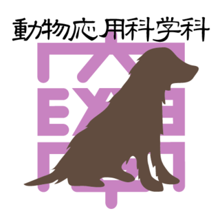 獣医学部 菊水教授がNHK「ヒューマニエンス」に出演します