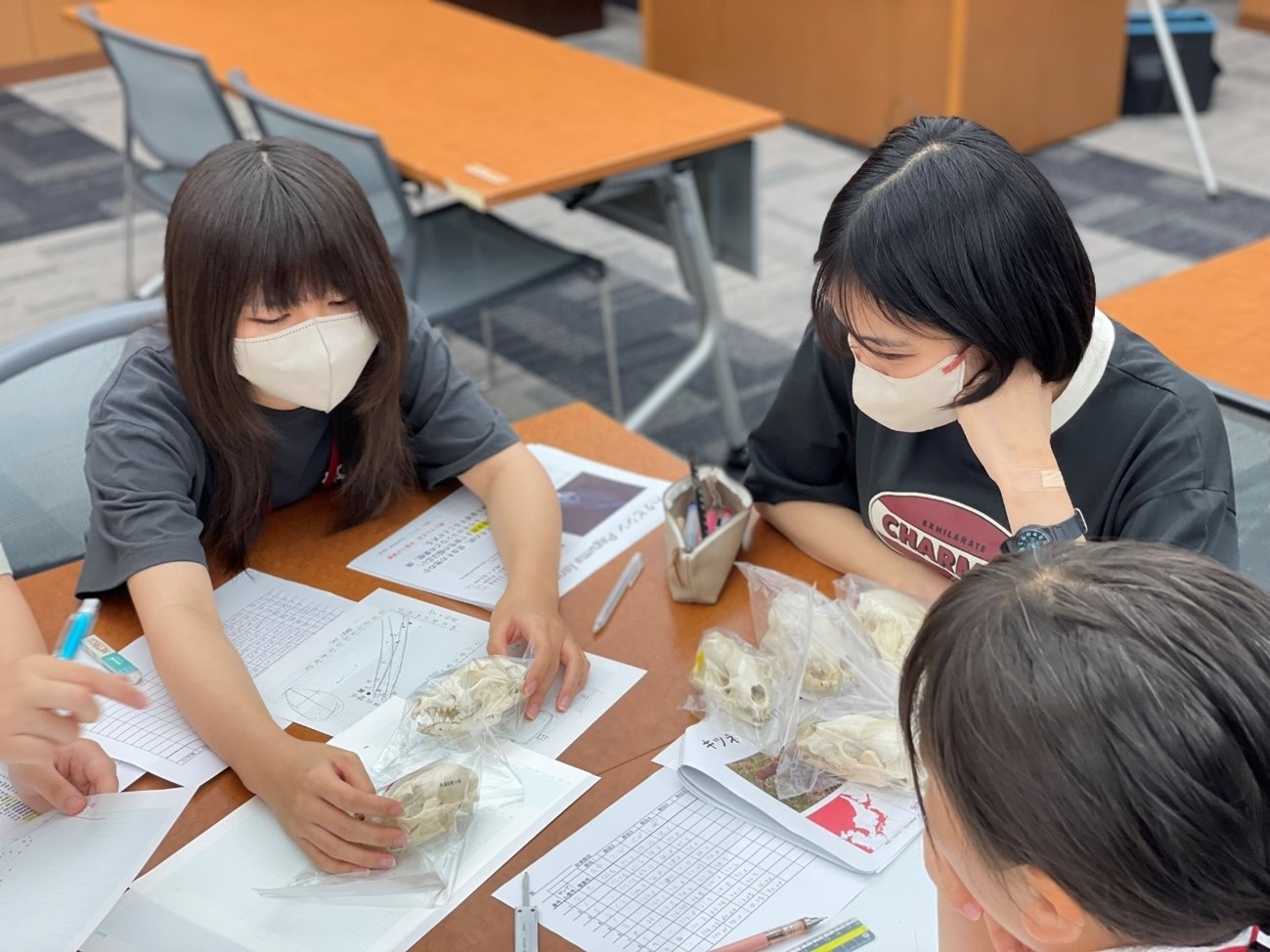 麻布出る杭夏休み体験講座