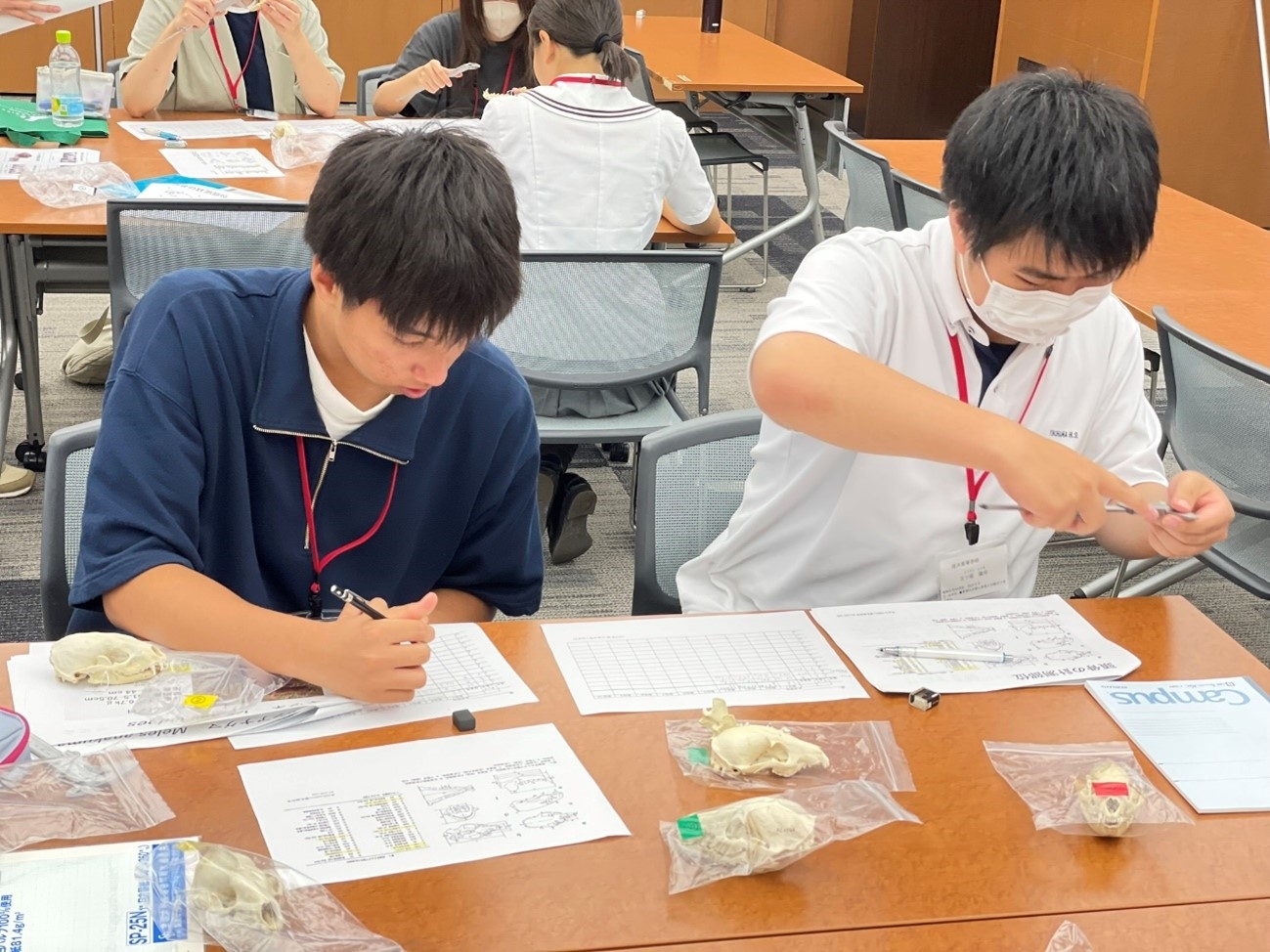 麻布出る杭夏休み体験講座