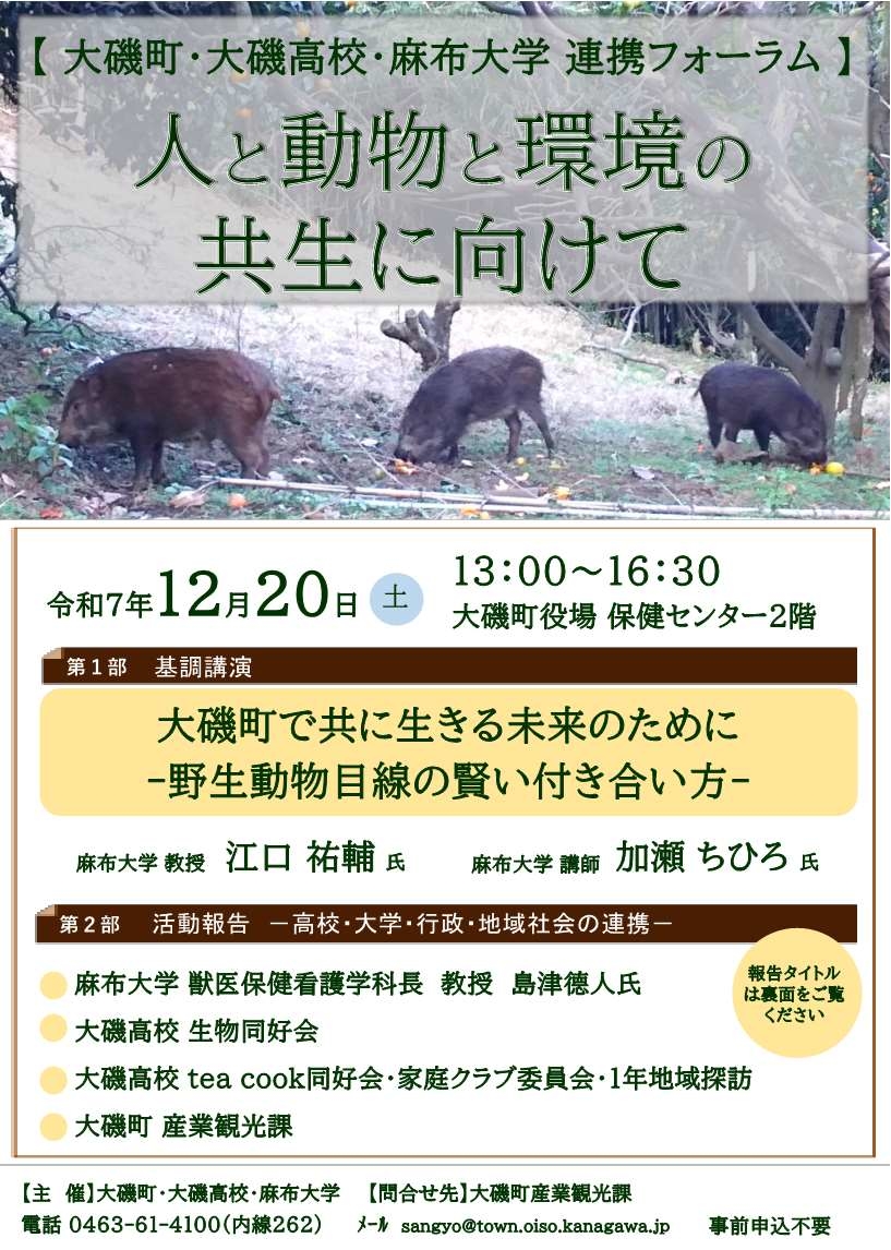 大磯町・大磯高校・麻布大学連携フォーラム案内