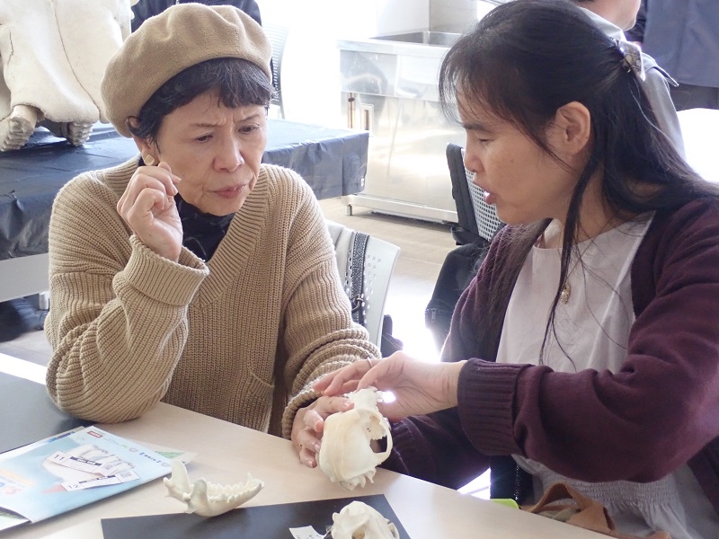 「手で見るいのち」イベントに麻布大学が参加