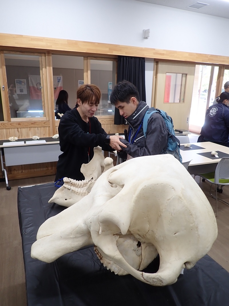 「手で見るいのち」イベントに麻布大学が参加