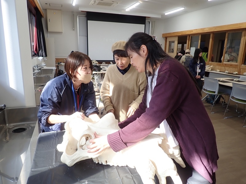 「手で見るいのち」イベントに麻布大学が参加