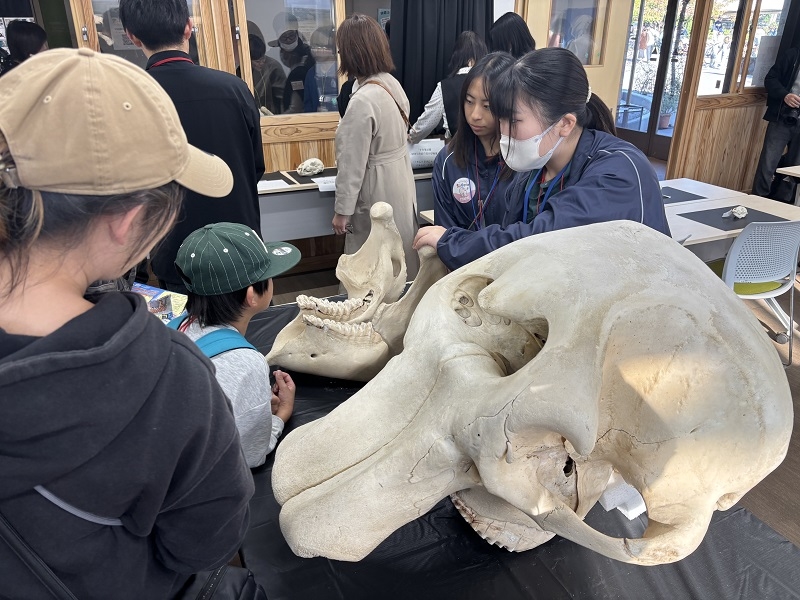 「手で見るいのち」イベントに麻布大学が参加