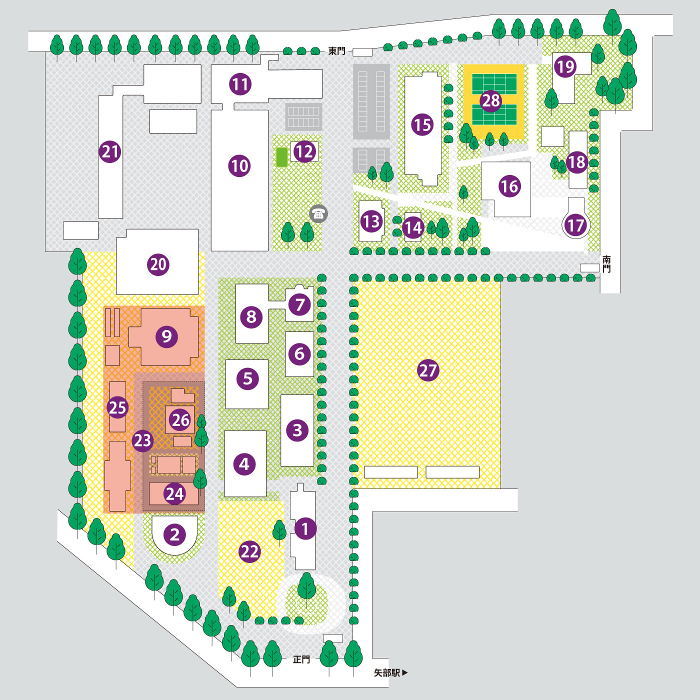 麻布大学キャンパスマップ