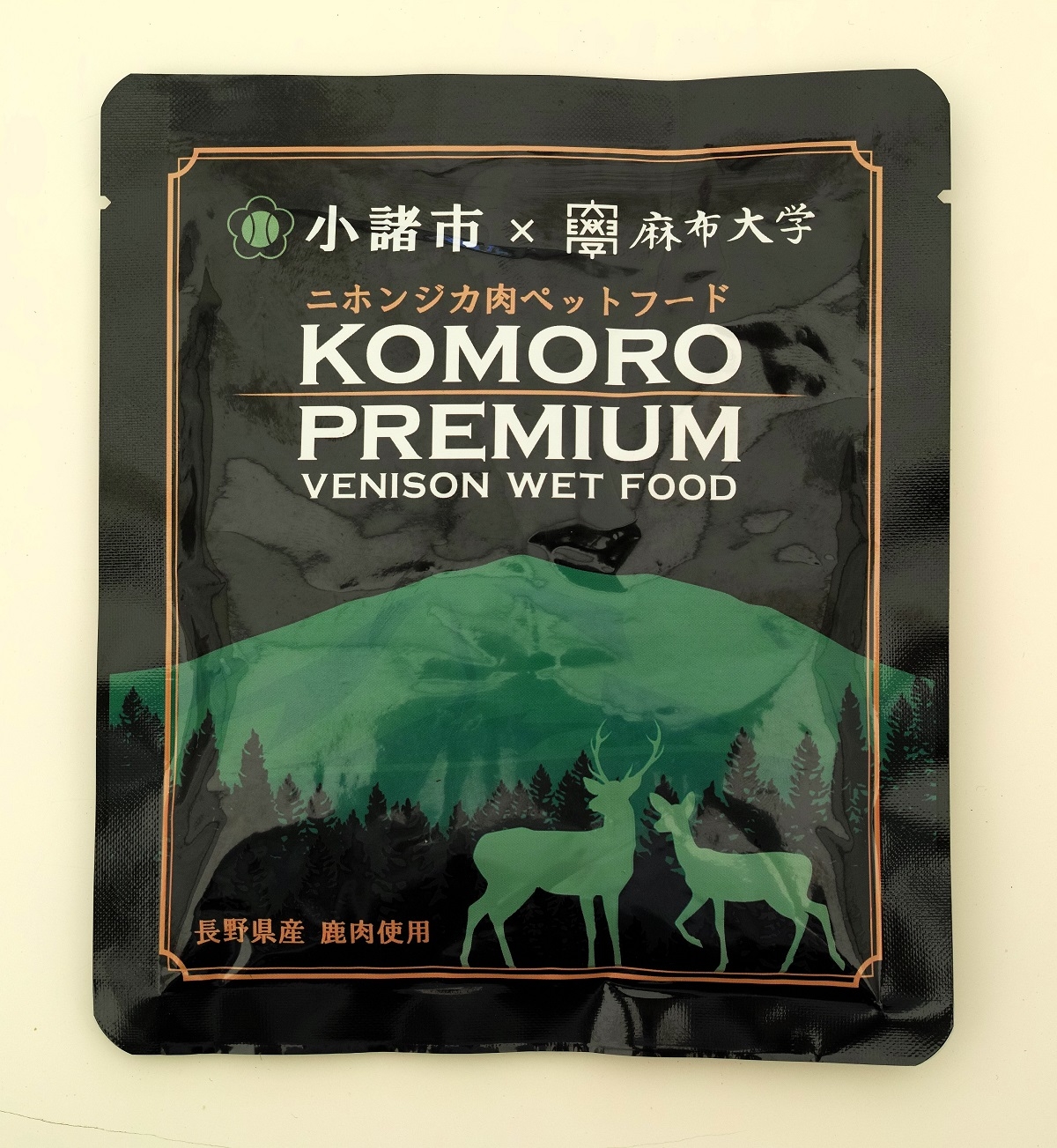 代々木調査わんわんカーニバル