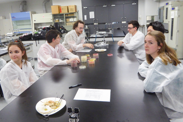 培養後細菌の同定およびホタテの解剖を行っているオハイオ州立大学大学生達（OSU students studying the bacteria culture and food poisoning.）