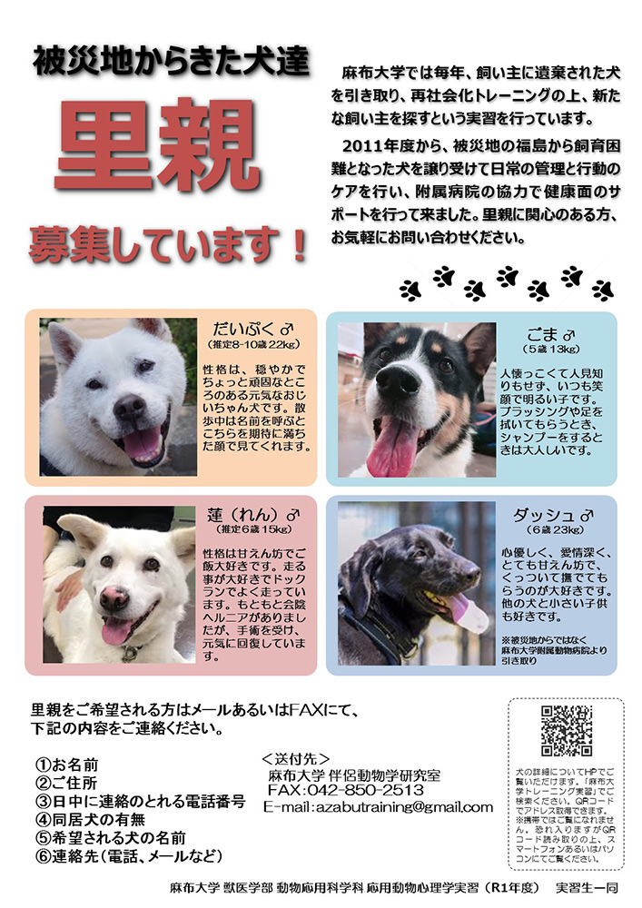 里親 神奈川 犬