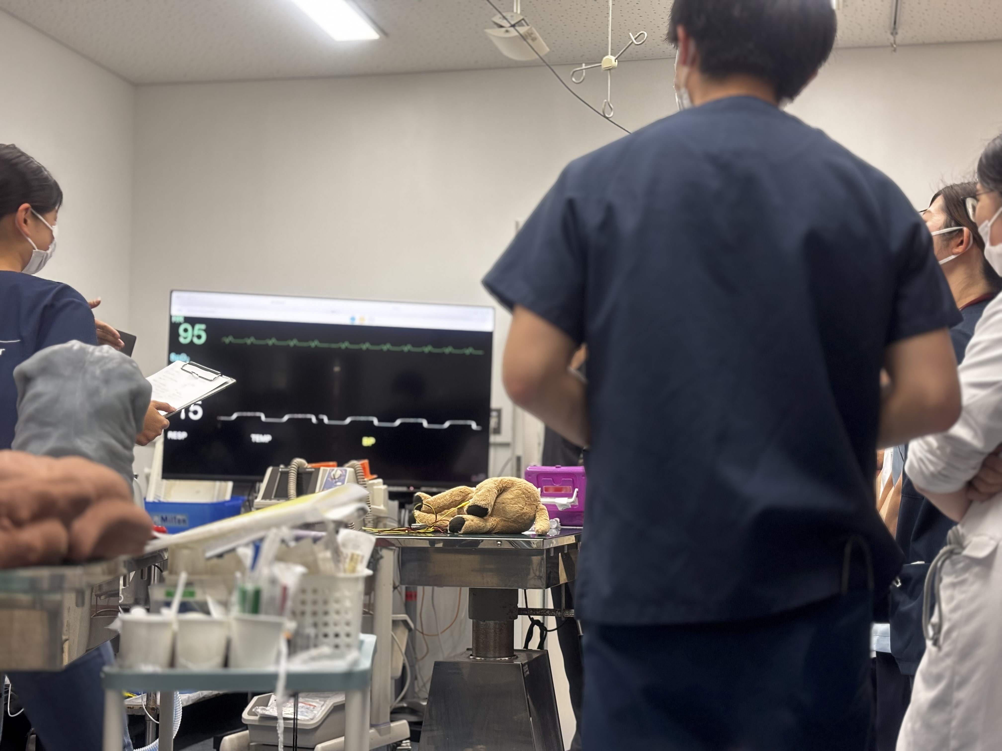 講習風景(心電図解析)