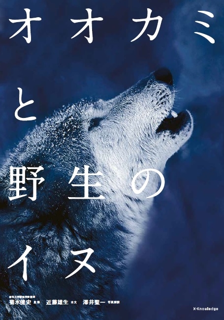 WOLF&WILDDOG.jpg
