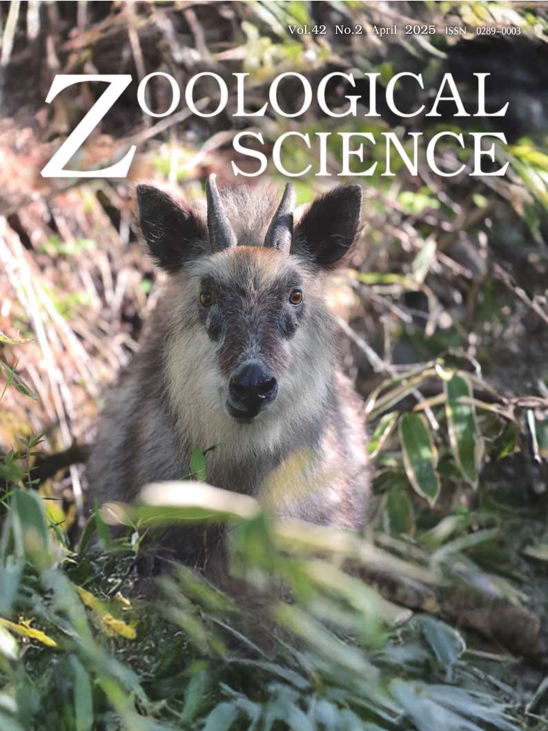 学術誌Zoological Science表紙