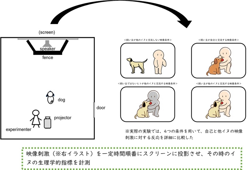 本研究のイメージ図