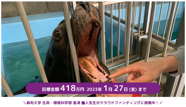 麻布大学が動物園・水族館動物の歯周病菌調査を開始