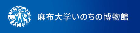 いのちの博物館