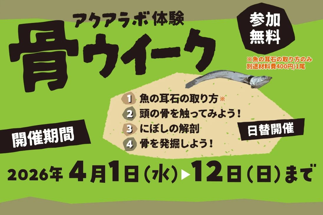 新潟水族館マリンピア日本海イベント「頭の骨を触ってみよう」