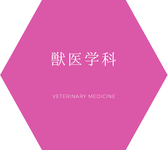 獣医学科