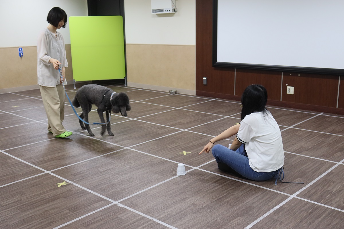 夏休み研究室体験＿動物応用科学科