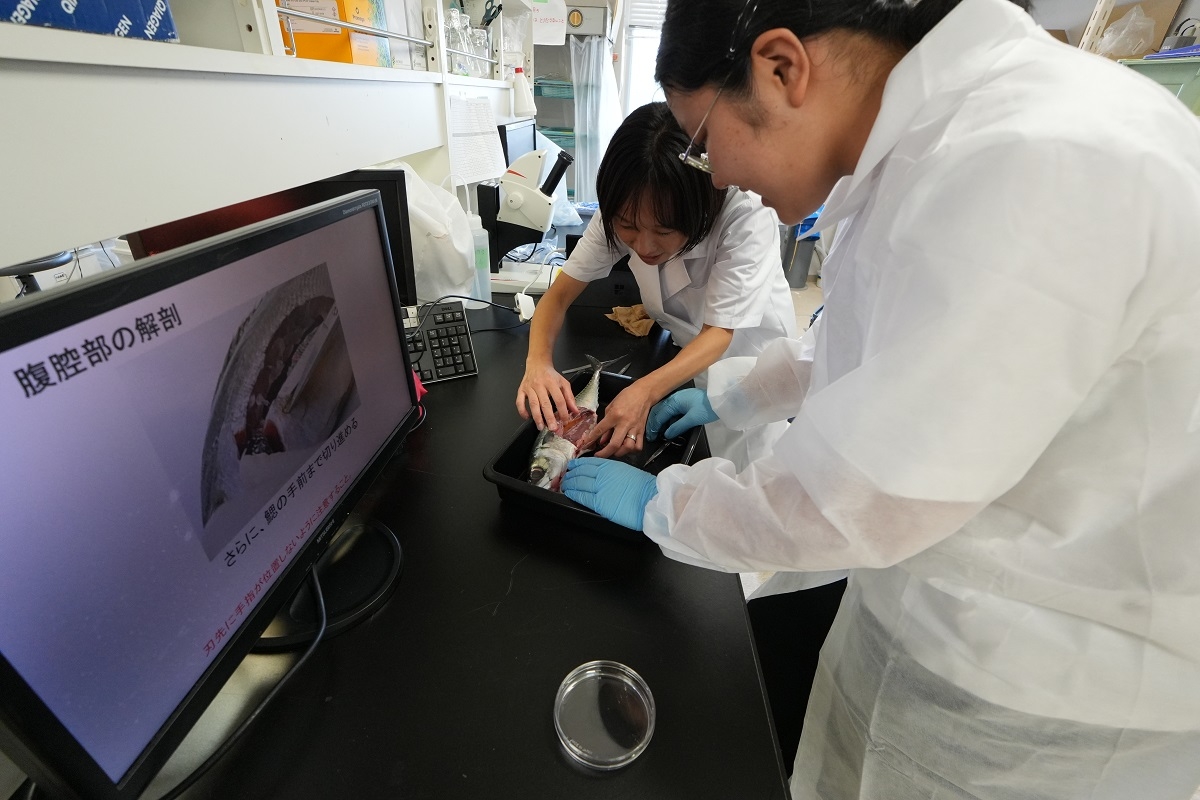 夏休み研究室体験＿環境科学科