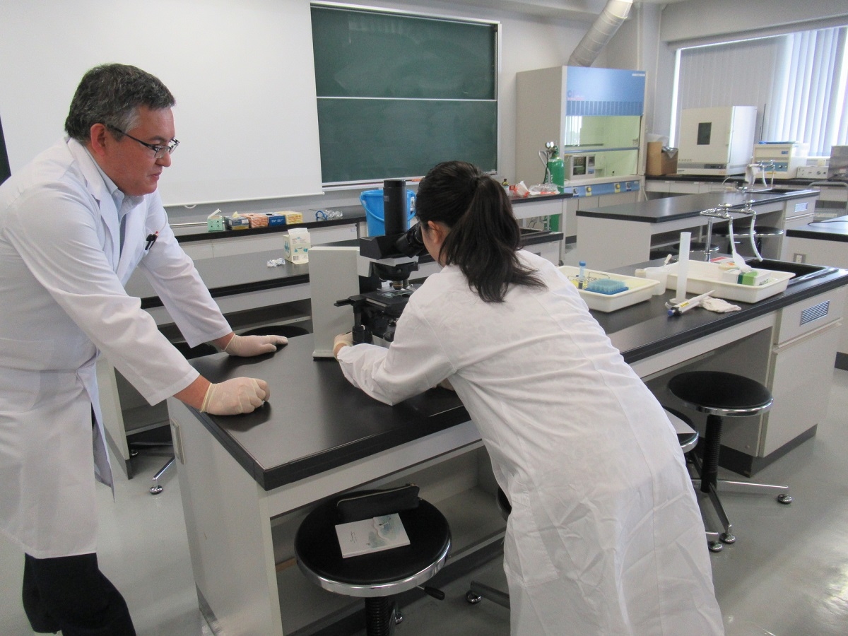 夏休み研究室見学＿獣医学科