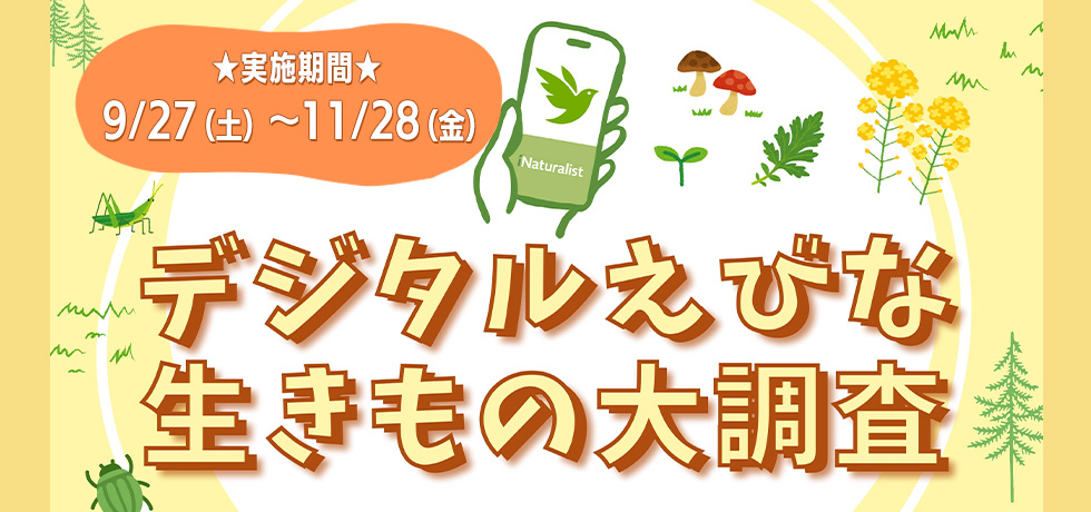 生きもの観察調査