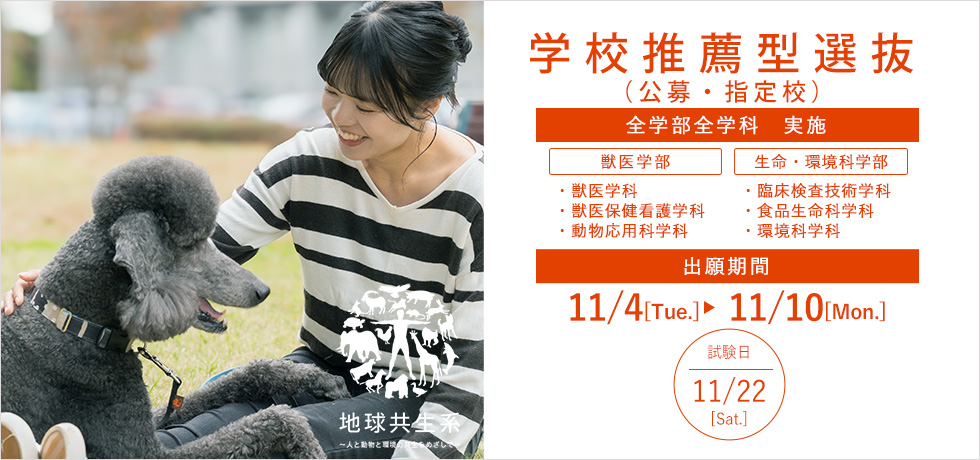 学校推薦型選抜入試_20251104