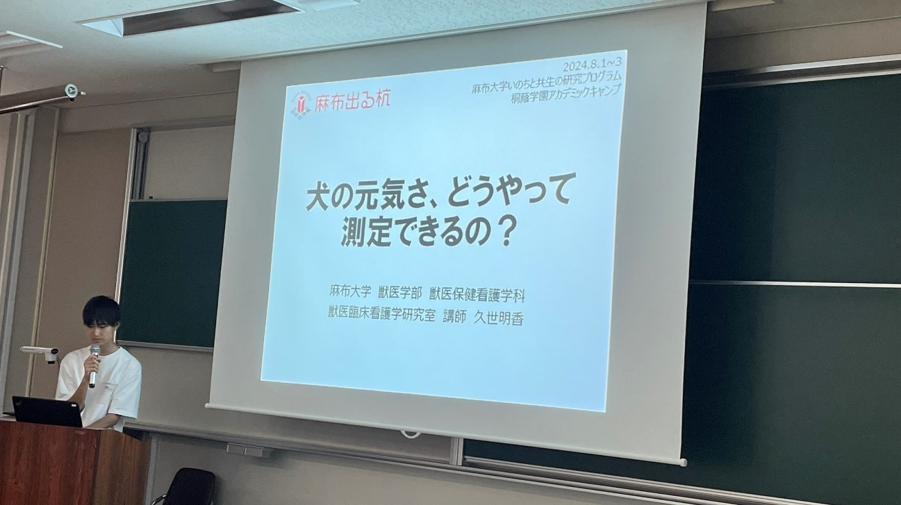 発表会