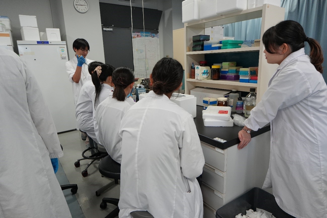 RNA（リボ核酸）の検出と定量実験