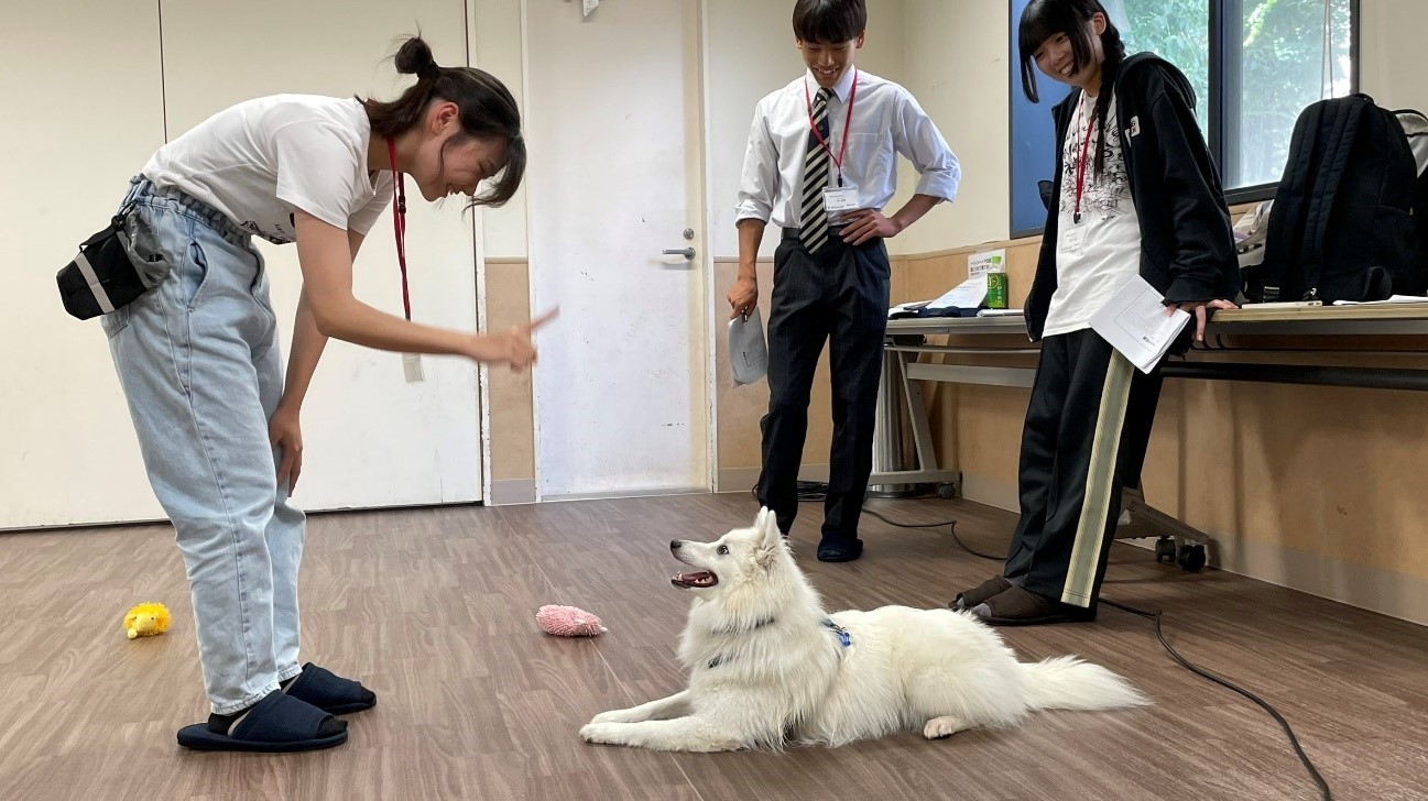 コマンド指示中