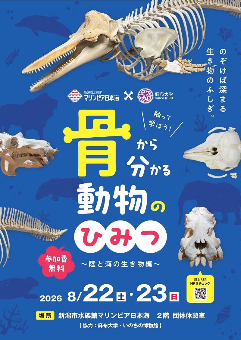 触って学ぼう！骨から分かる動物のひみつ ～陸と海の生き物編～