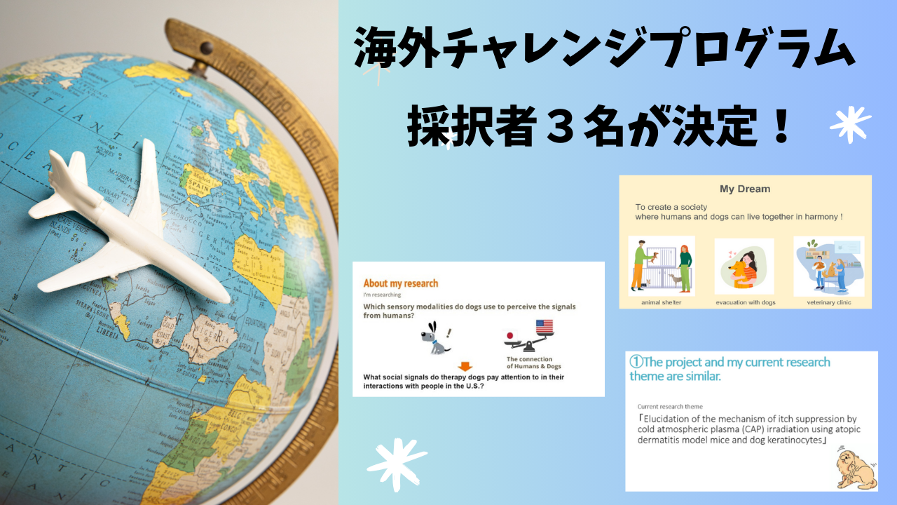 〔麻布出る杭〕ジェネプロ海外チャレンジプログラムの採択者が決定しました