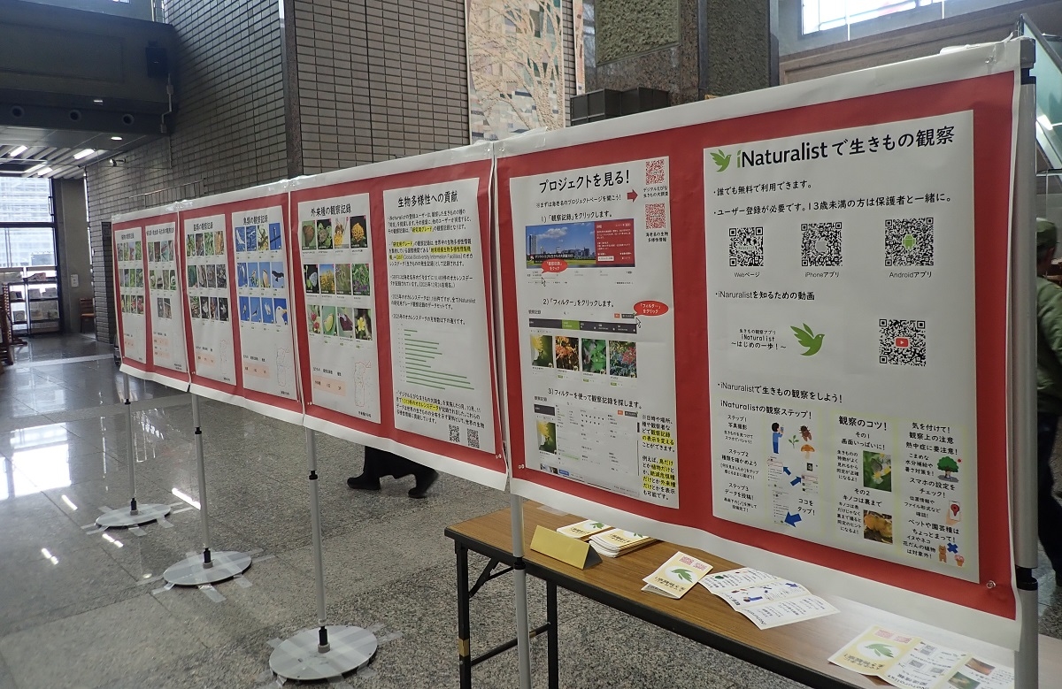 海老名市役所での展示