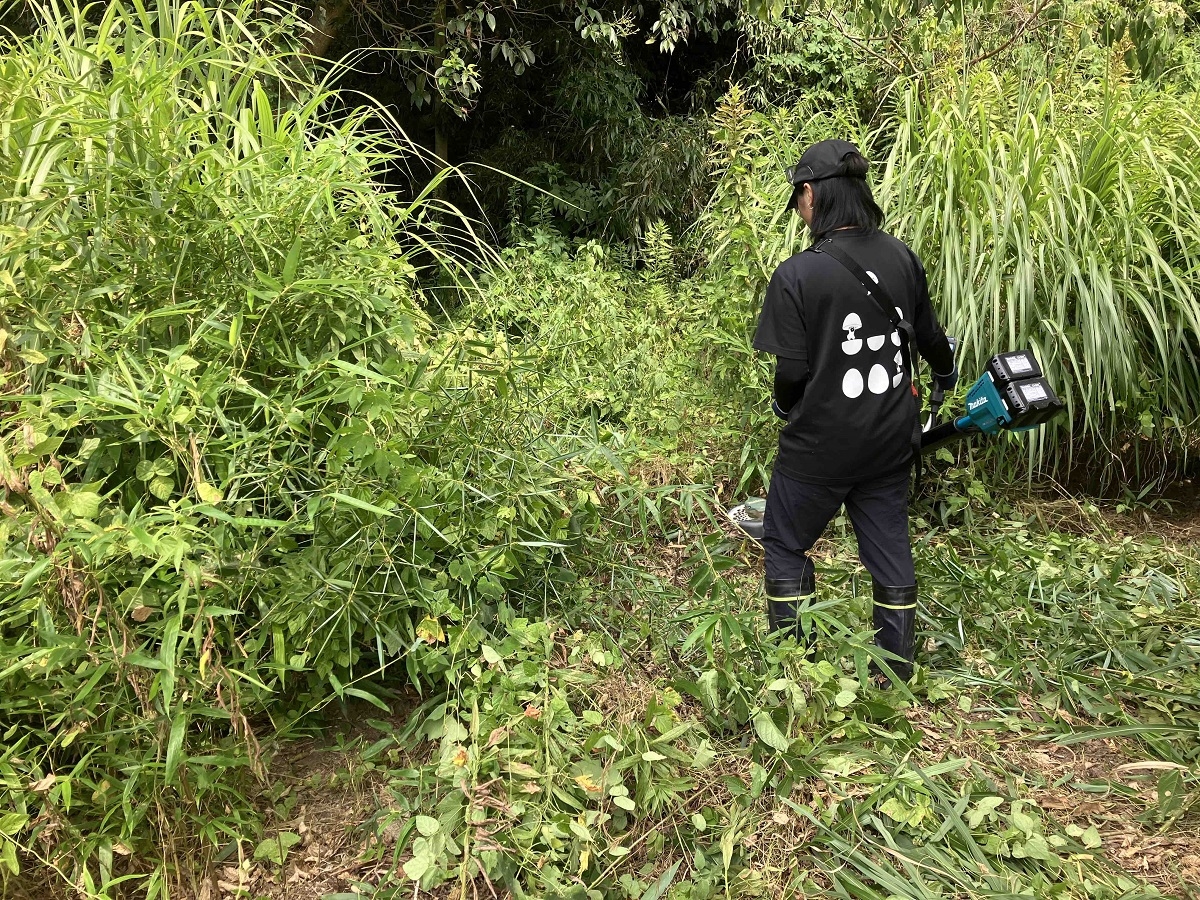 大磯町で草刈り