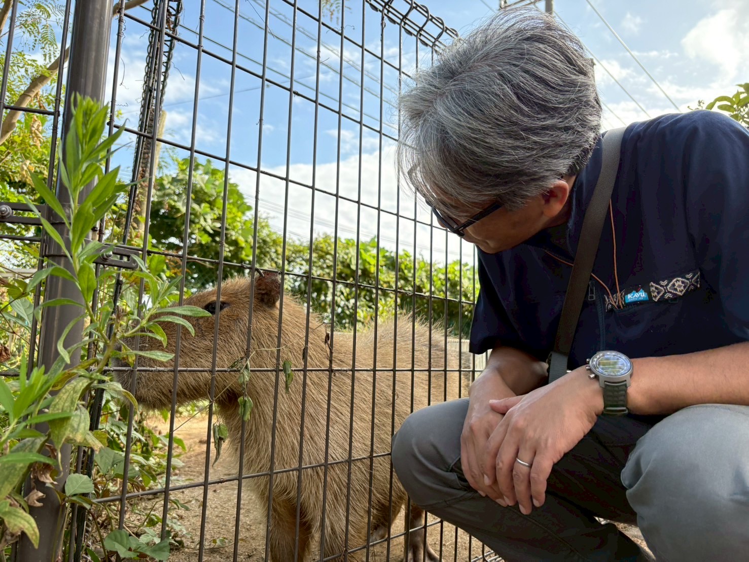 島津教授とカピバラ