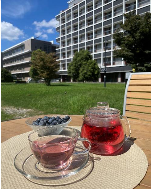 麻布大学開発ハーブティー