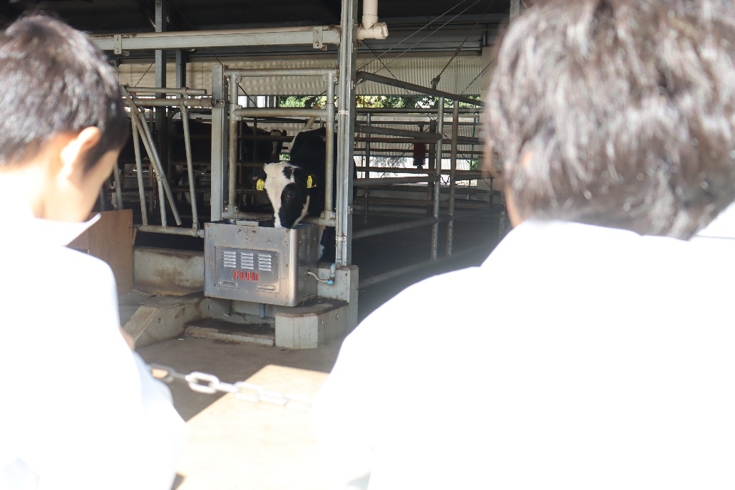 淵野辺小学校が堆肥施設を見学