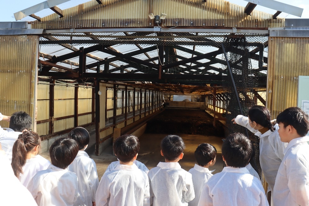 淵野辺小学校が堆肥施設を見学