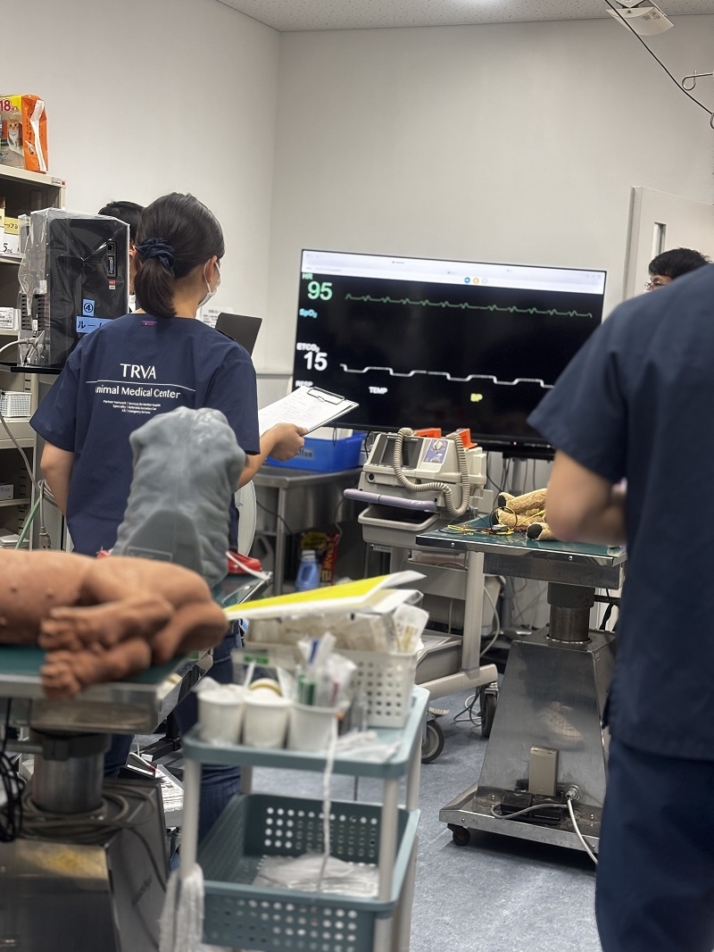 講習風景(心電図解析2)